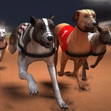 Greyhound Racing Game