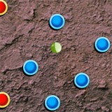 Iron Ball - Free  game