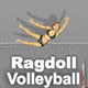 Ragdoll Volleyball Game