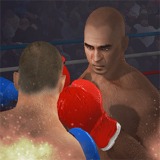 Super Boxing - Free  game