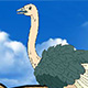 Super Ostrich Simulator