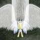 Super Angel Wings