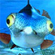 George the Unlucky Fish - Free  game